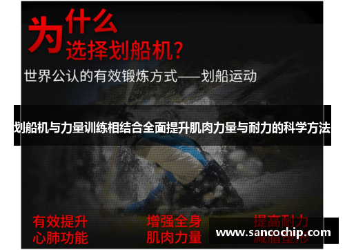 划船机与力量训练相结合全面提升肌肉力量与耐力的科学方法