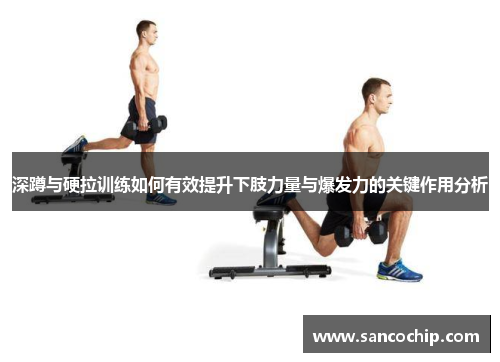 深蹲与硬拉训练如何有效提升下肢力量与爆发力的关键作用分析