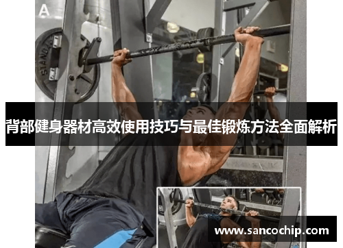背部健身器材高效使用技巧与最佳锻炼方法全面解析