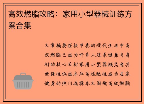 高效燃脂攻略：家用小型器械训练方案合集