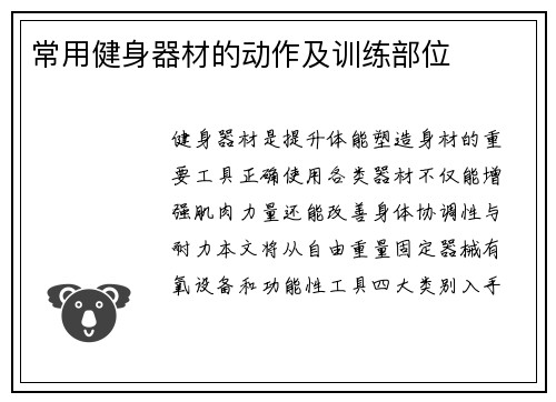 常用健身器材的动作及训练部位