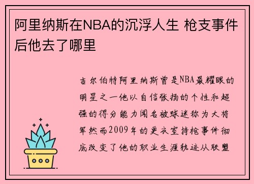 阿里纳斯在NBA的沉浮人生 枪支事件后他去了哪里
